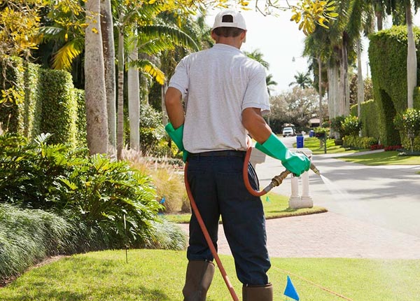 About Rome OH Pest Control